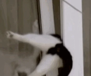 如何查动态图片出处_2