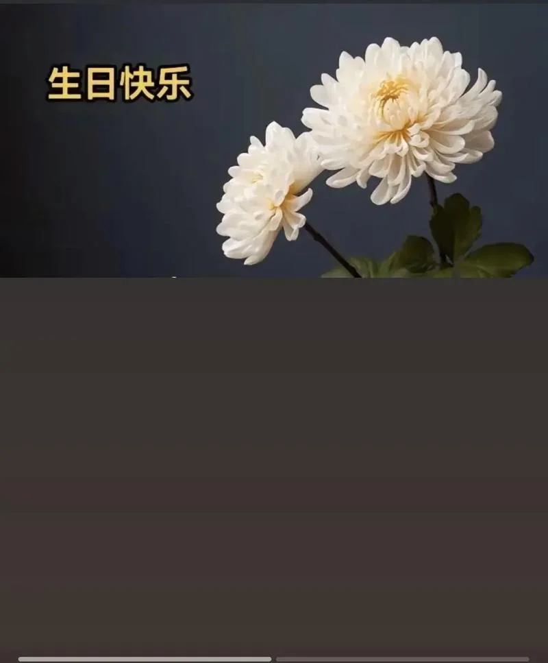 清明节生日祝福语_1