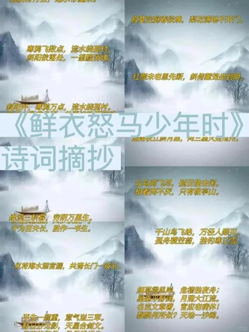 从少年到中年感悟的诗_1