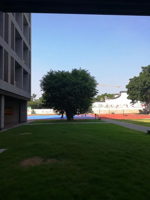 福州杨桥中学文艺节_2