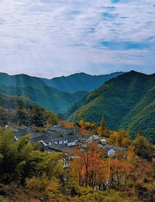 四明山秋色最好的景点_1
