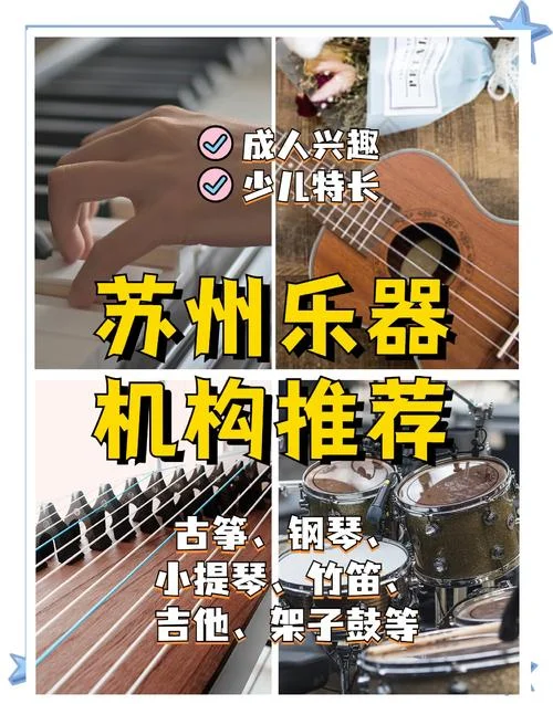 学乐器去哪里找培训班_1