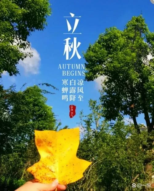 今年几月几日立秋_1