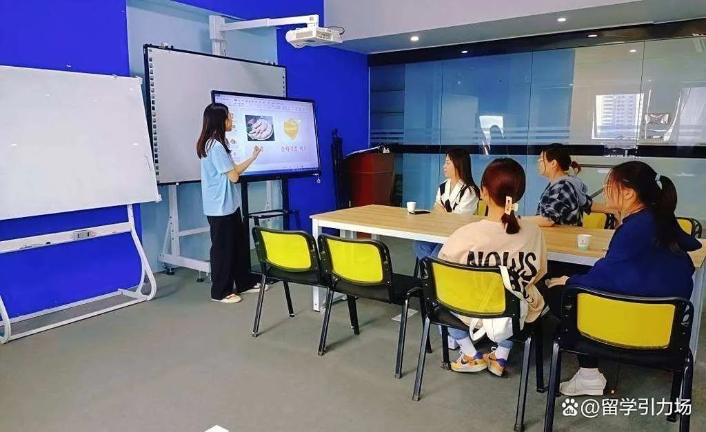澳洲留学生读美术专业-澳洲美术留学