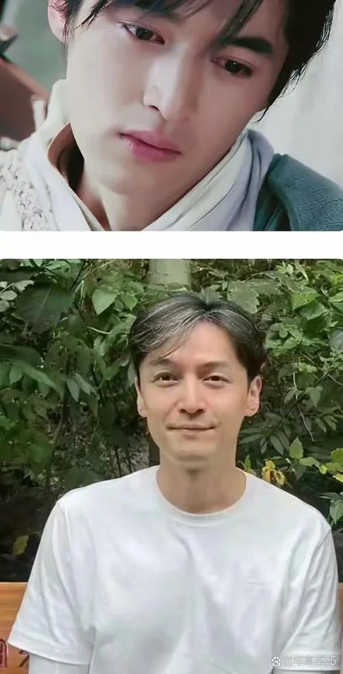 胡歌年龄今年多大了-胡歌今年几岁