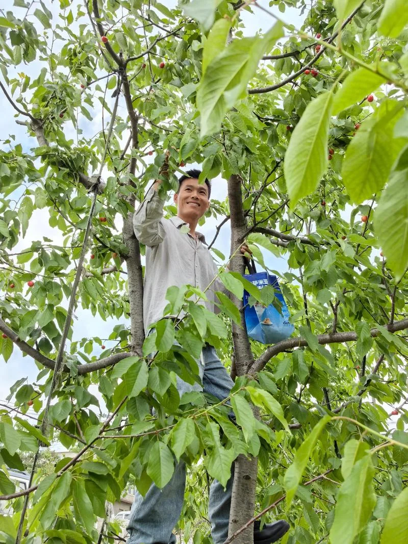 满满的收获与感悟-满满收获与感悟