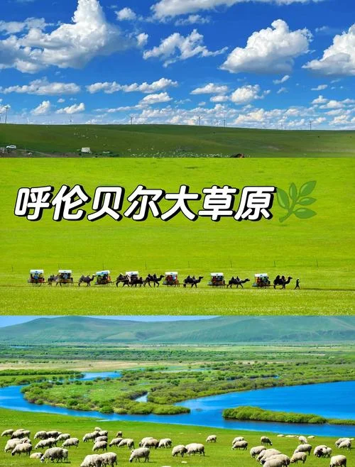鄂尔多斯大草原介绍-鄂尔多斯草原大
