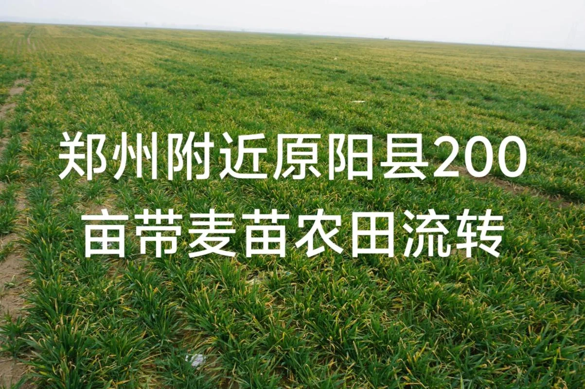 一百亩等于多少平方米?-一百亩等于三百六五十平方米