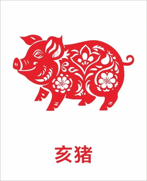 丁亥年是哪一年属猪_2