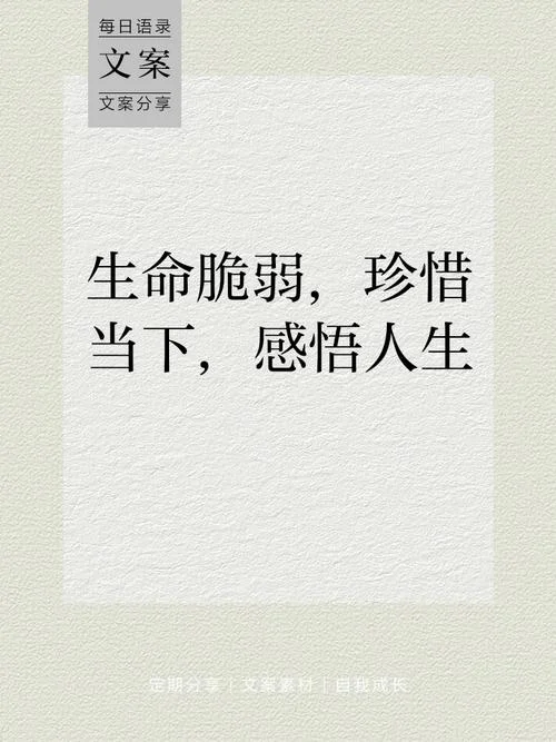 生命图片感悟_1