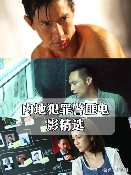 大追捕剧情介绍-大追捕剧情简介