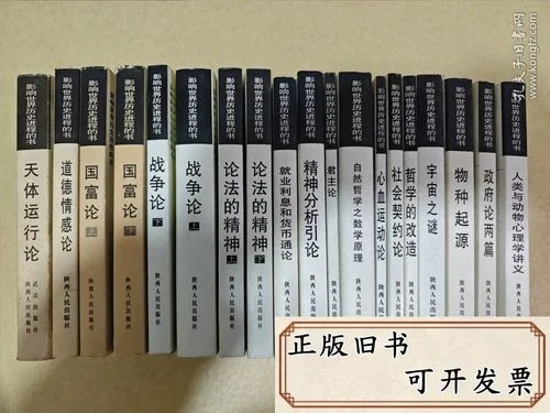 历史进程的书_1