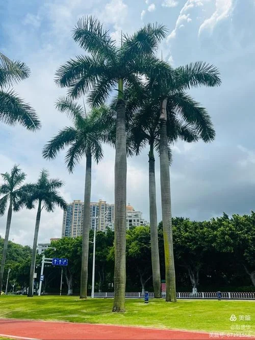深圳珠海三日游-深圳珠海三日游