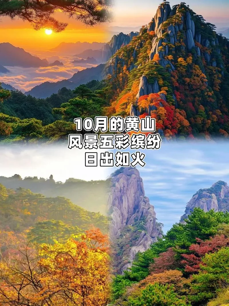 黄山五日旅游攻略_1