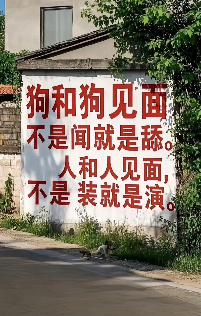男人和狗的文案_2