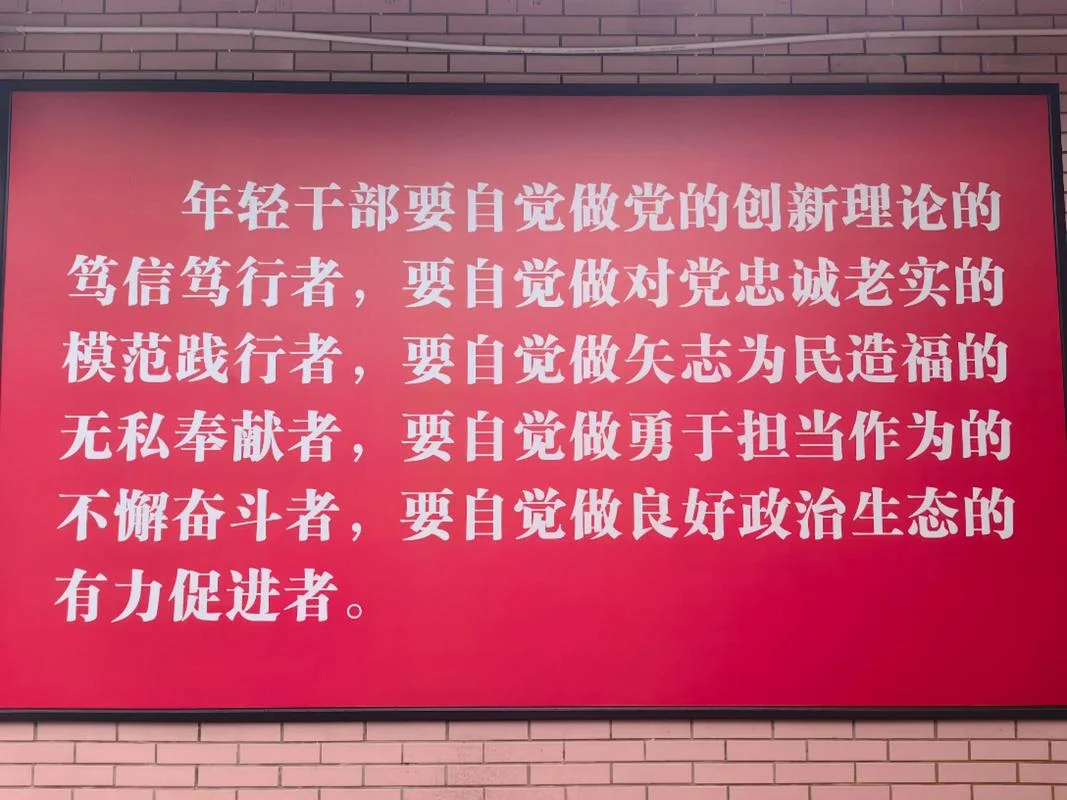 作风过硬下一句_1