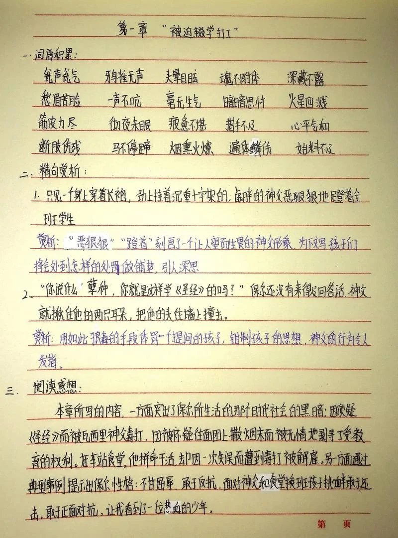 钢铁是怎样炼成的第一章第二章读后感_1