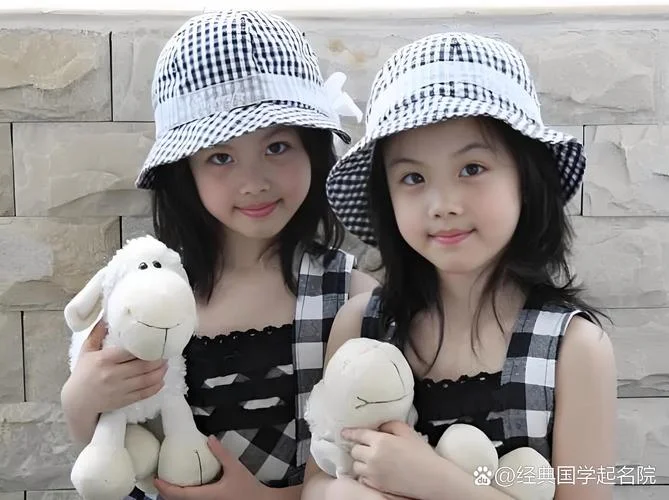 土金女孩起名双胞胎_1
