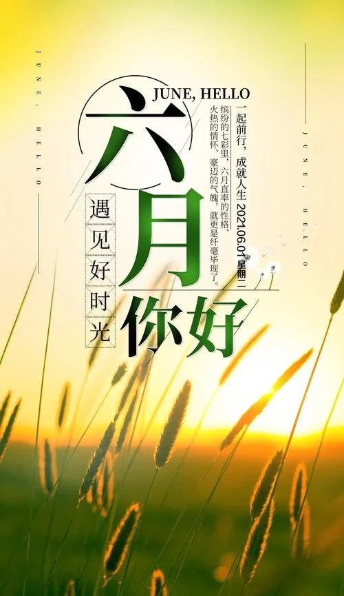 6月你好的感悟_1
