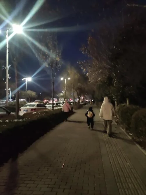 梦见自己走夜路回家_2