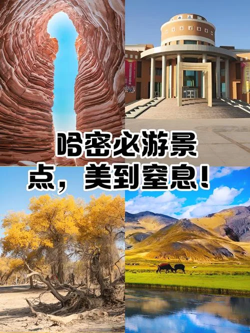 哈密一日游自由行_1