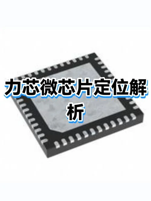 力芯微是什么公司_1