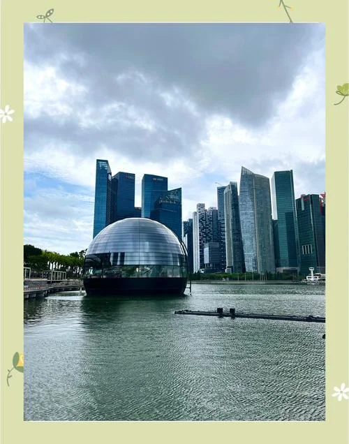 新加坡留学之后移民-新加坡留学后移民