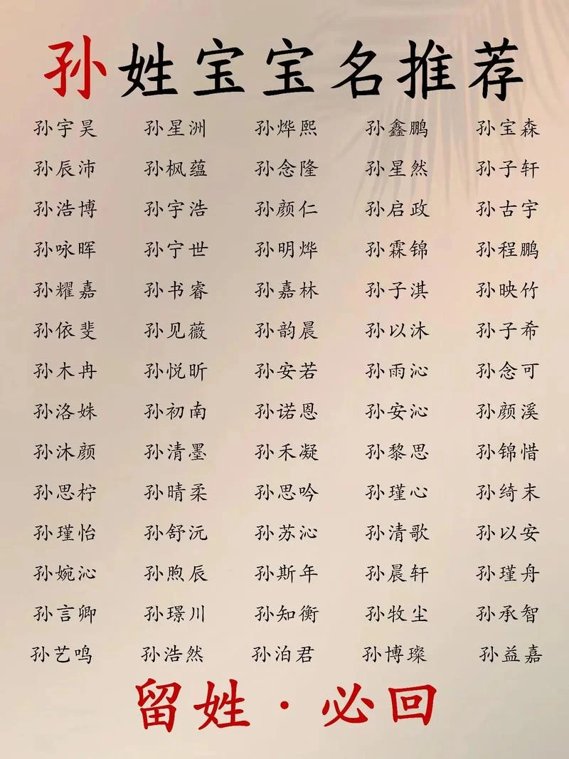 宝宝起名男孩姓孙_2