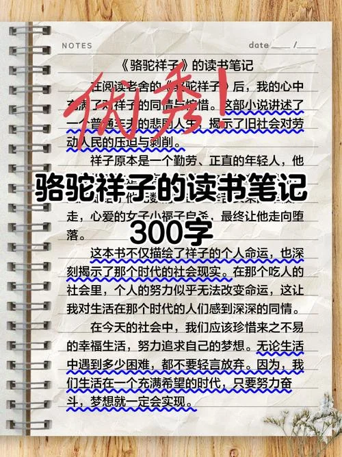 骆驼祥子阅读感悟30字_1