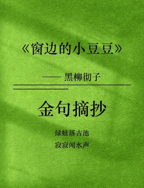 窗边小豆豆感悟_1