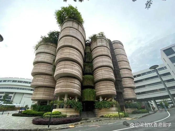 哪个香港留学中介好_2