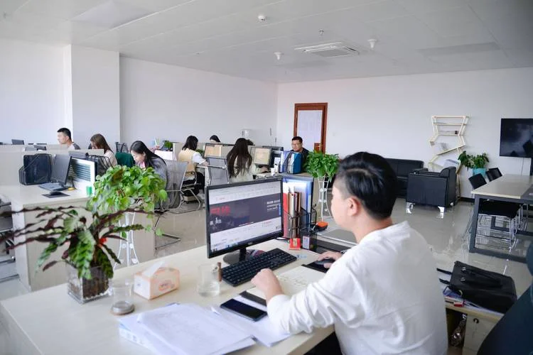 网络公司干什么好_2