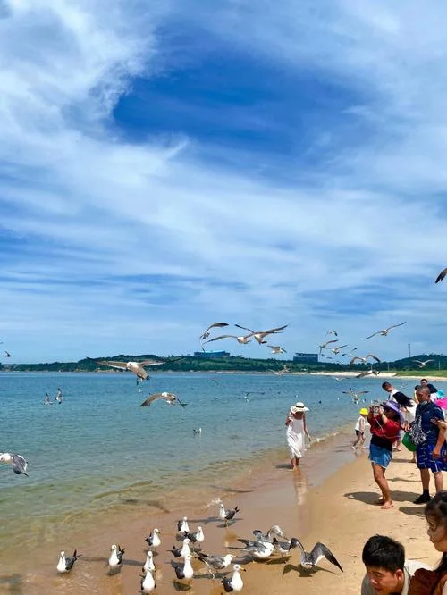 成山头海驴岛一日游-成山头海驴岛一日