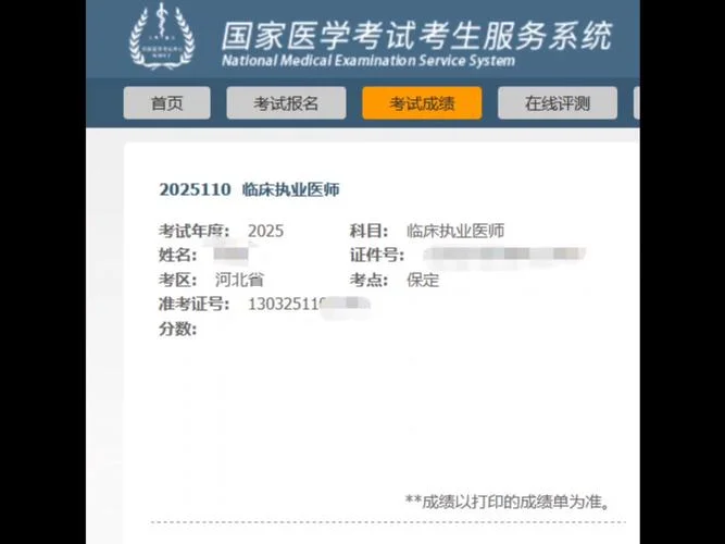 湖北执业药师考试成绩_1