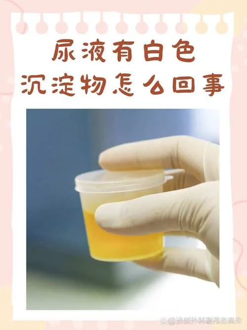 沉淀什么意思_2