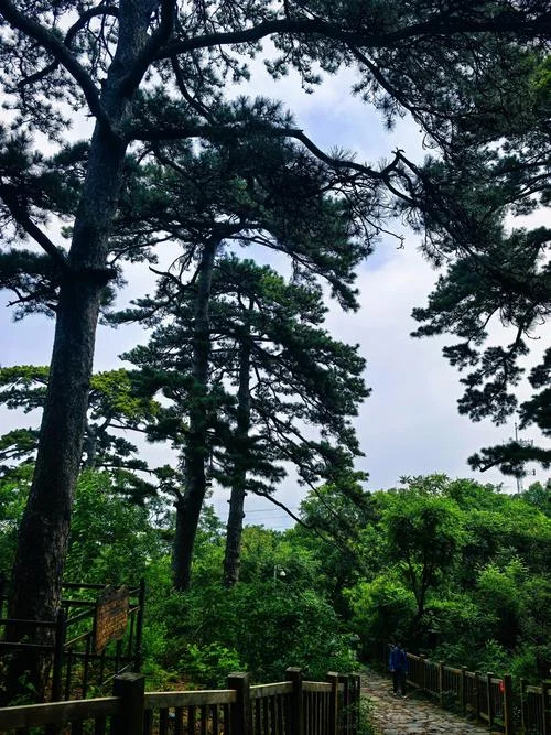 放马南山出自哪个城市_2