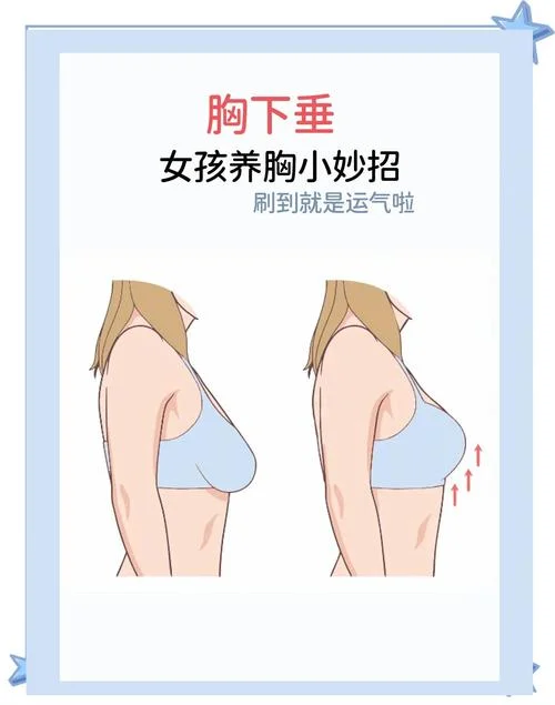 胸部保养的原理_1