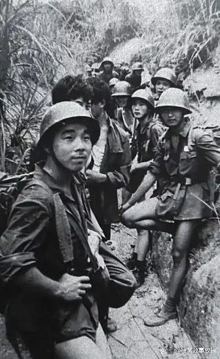 历史4月28日的重要事件-4月28日重大历史事件