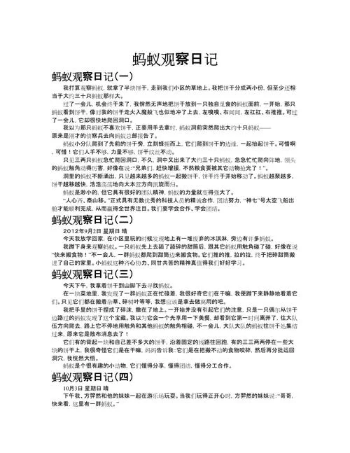 写小蚂蚁的作文_1