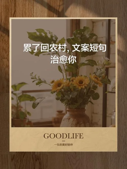 农村生活感悟简短说说_1