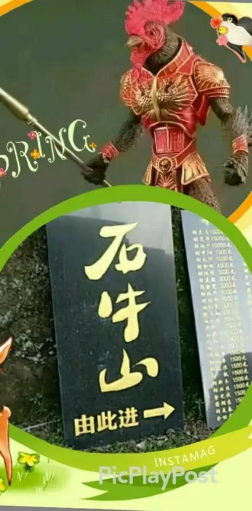 梦到有牛追我我一直跑-牛追我狂奔
