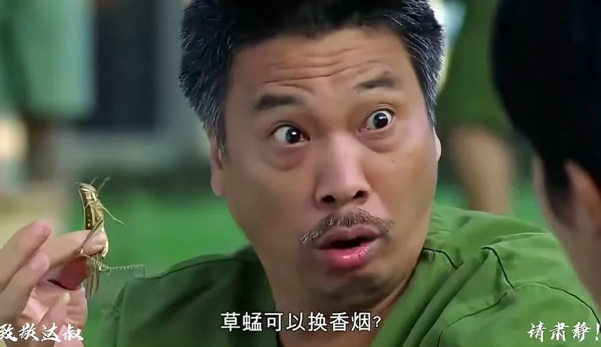 张磊思念谁电影叫什么_2