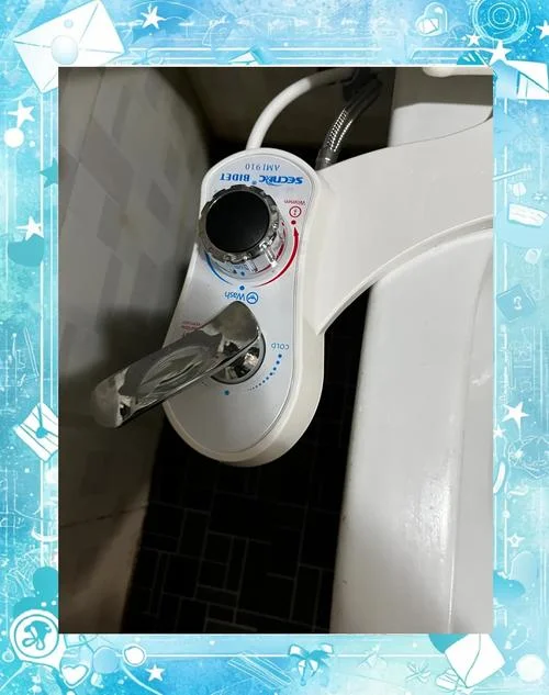 智能洁身器又叫什么-智能洁身器别称