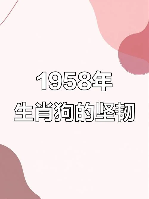 67岁属什么生肖什么命-67 岁生肖命