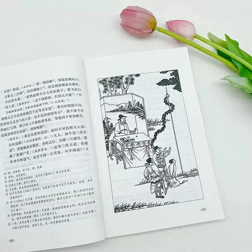 窦娥冤到底是谁写的_2