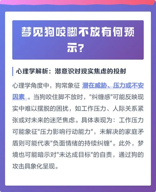 女人梦见给狗追_1