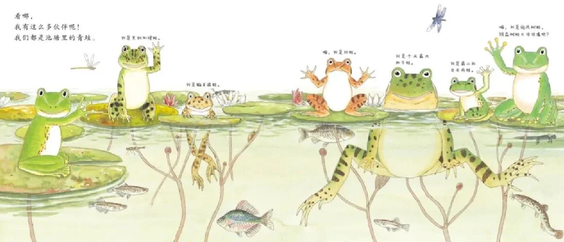 什么是青蛙的家_2