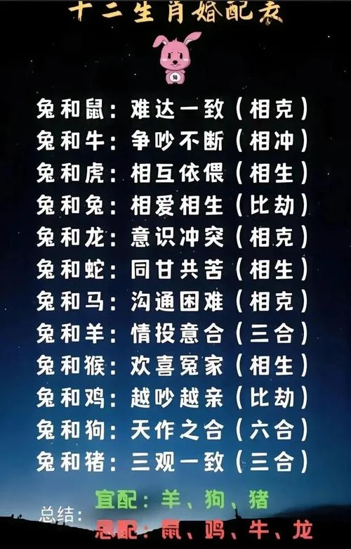 属兔的猪年运势如何_2
