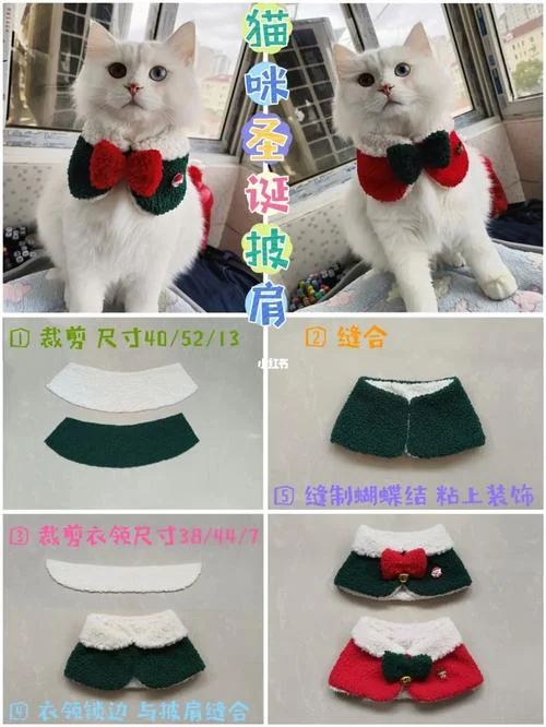 宠物猫衣服怎么做-猫服制作指南