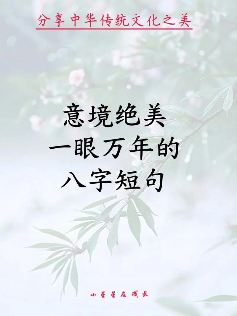 一眼万年下一句是什么_1